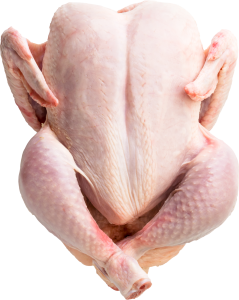 raw-chicken-carcrass-white-top-view